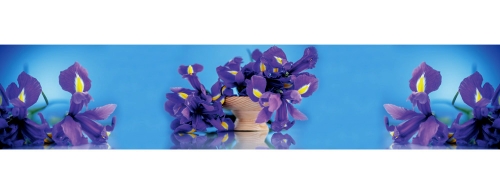 Фартук МДФ Ирисы