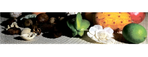 Фартук МДФ SP 013