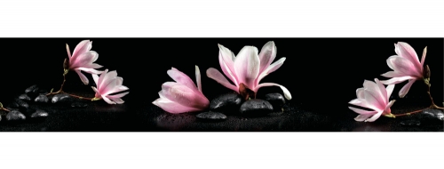 Фартук МДФ Магнолия на камнях