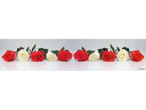 Фартук МДФ Розы 2