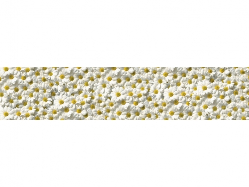 Фартук МДФ Ромашка