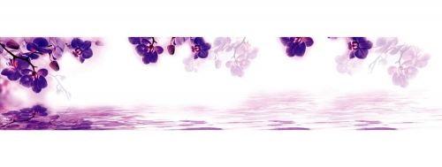 Фартук МДФ Экзотика