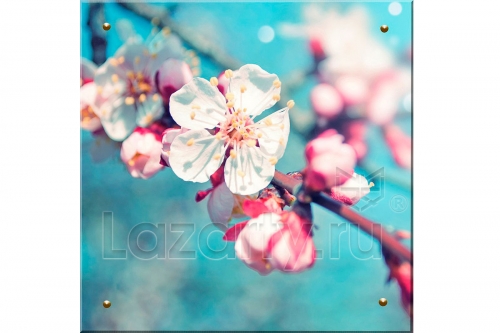 Защитное стекло Цветы вишни для кухни