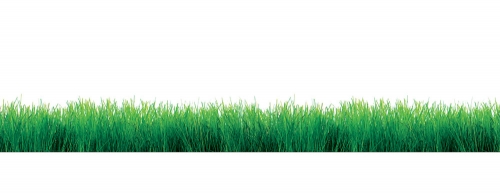 Фартук МДФ Трава