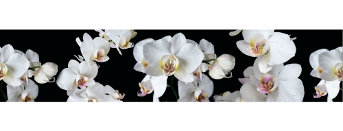 Фартук МДФ SP 194