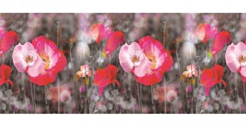 Фартук для кухни Маковое поле 480