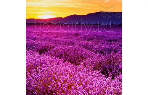 Защитное стекло Лавандовое поле для кухни