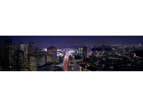 фартук из хдф элит токио 2440x610x3