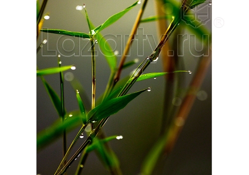 Защитное стекло Бамбук в росе для кухни