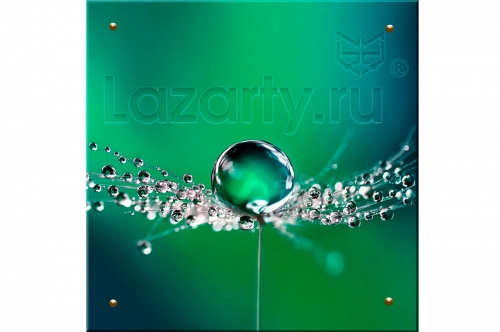 Защитное стекло Росинка для кухни