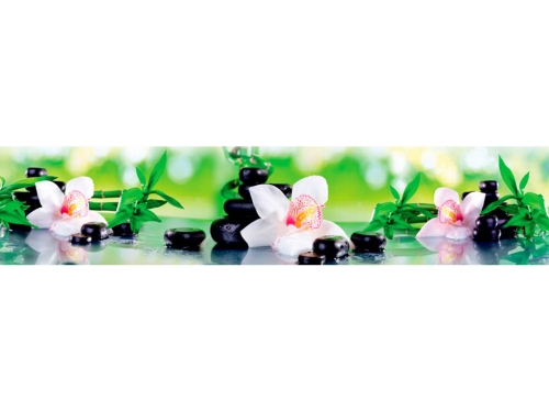 Фартук глянцевый МДФ Цветы на камнях 3