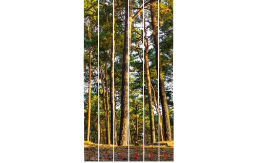 Панель ПВХ Venta Exclusive Сосновый лес