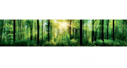 Фартук МДФ глянцевый SP-120