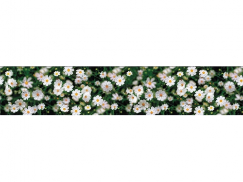 Фартук для кухни Ромашки (3D фотопечать)