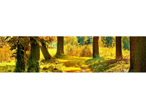 фартук из хдф элит осенний лес 2440x610x3