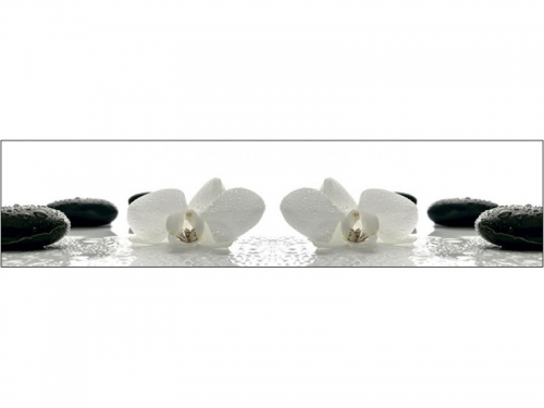 Фартук МДФ Белые орхидеи с каплями