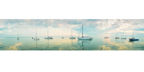 Фартук глянцевый Очарование