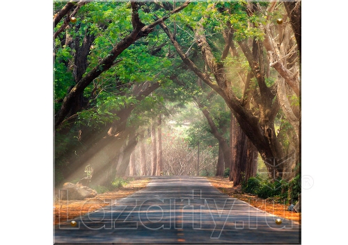 Защитное стекло Дорога для кухни