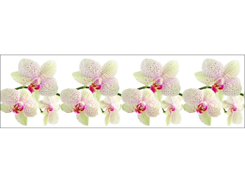 Фартук для кухни Орхидеи белые (фотопечать)
