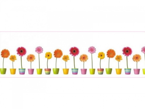 Фартук для кухни Герберы