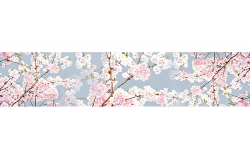 Фартук глянцевый МДФ Сакура