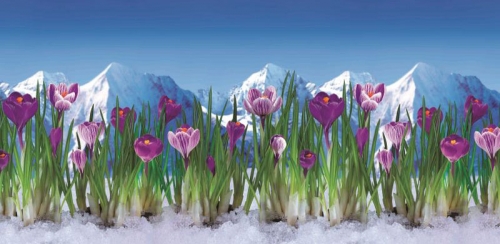 Фартук для кухни Альпийская весна/ Шафран 479