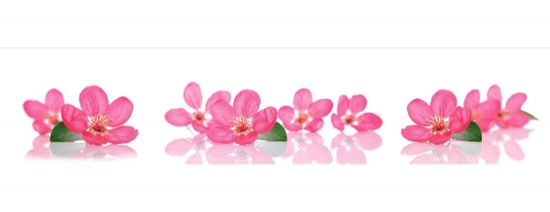 Фартук МДФ Розовоцвет