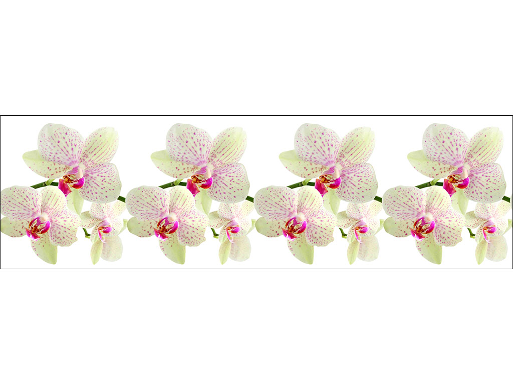 Фартук орхидея. Фартук ПВХ леопардовая Орхидея (374) (0,6м*3м*1мм). Фартук ПВХ 3000 600 Орхидея АВС 53338. Кухонный фартук орхидеи. Фартук ПВХ Орхидея.