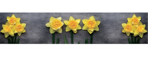 Фартук МДФ Нарциссы