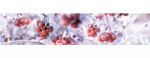 Фартук МДФ SP 169