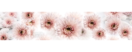 Фартук МДФ Хризантемы