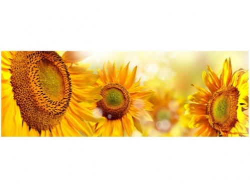 фартук из мдф элит подсолнухи 2070x695x3