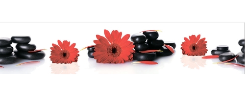 Фартук МДФ Герберы на камнях