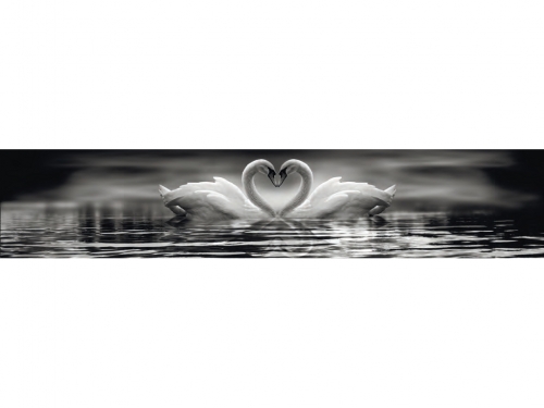 Фартук для кухни Лебеди (3D фотопечать)