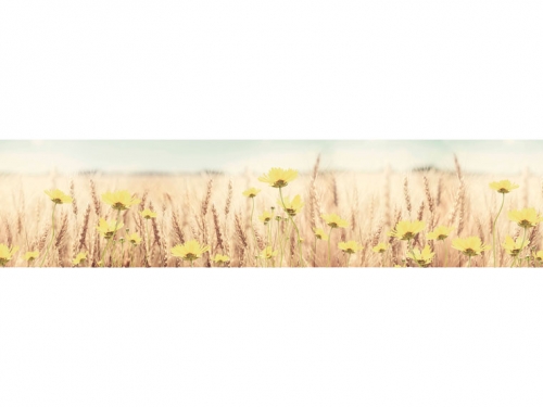 Фартук глянцевый МДФ FR 19