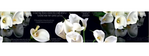 Фартук МДФ Каллы