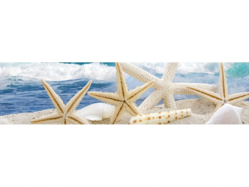 фартук из хдф элит морские звезды 2440x610x3