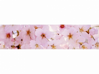 фартук из хдф элит цветущий сад №3 2440x610x3