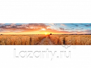 Фартук МДФ глянцевый 0181