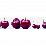 Фартук МДФ Вишни