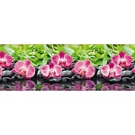 Фартук для кухни Орхидеи