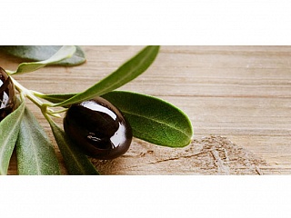 Фартук МДФ Веточка оливы msk