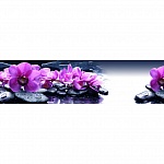 Фартук МДФ Орхидеи на камнях