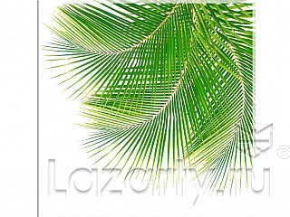 Защитное стекло Листья пальмы для кухни