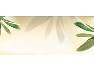 Фартук МДФ Оливки 1