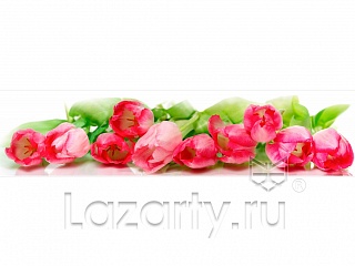 Фартук МДФ глянцевый 0167