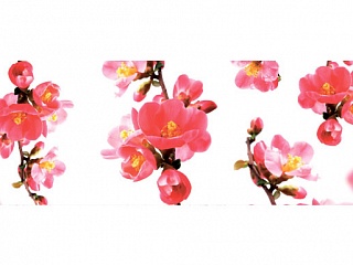 Фартук МДФ Сакура