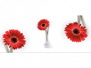 Фартук МДФ Арт герберы