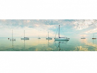 Фартук глянцевый Очарование