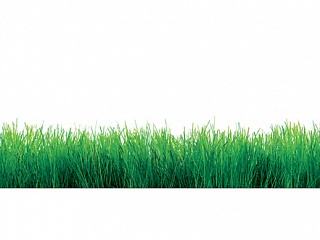 Фартук МДФ Трава